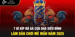 Đá gà cựa dao