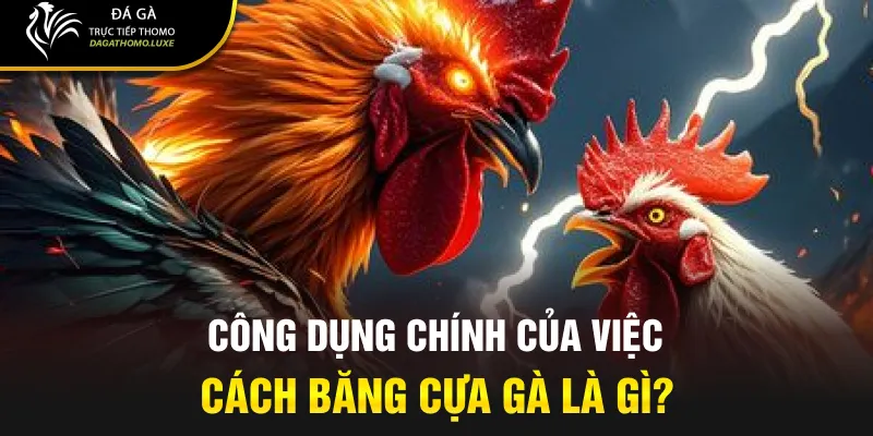Công dụng chính của việc cách băng cựa gà là gì?