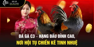 đá gà c3