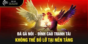 Đá gà nòi