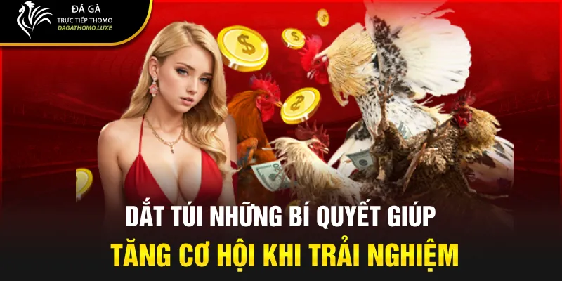 Dắt túi những bí quyết giúp tăng cơ hội khi trải nghiệm
