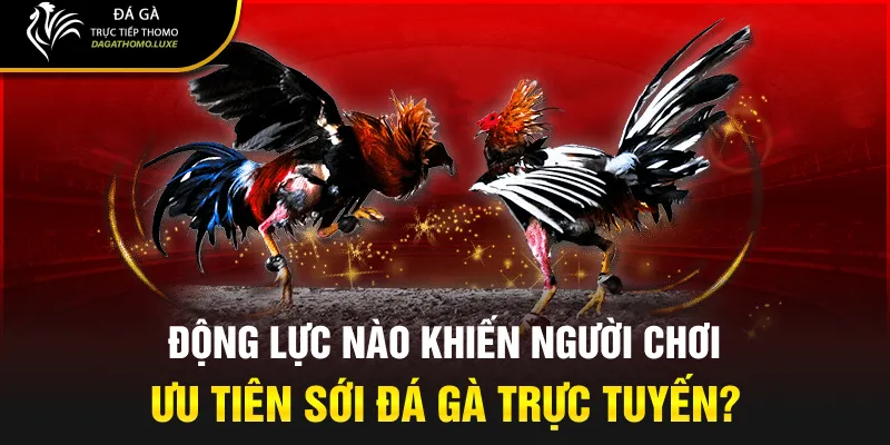 Động lực nào khiến người chơi ưu tiên sới đá gà trực tuyến?