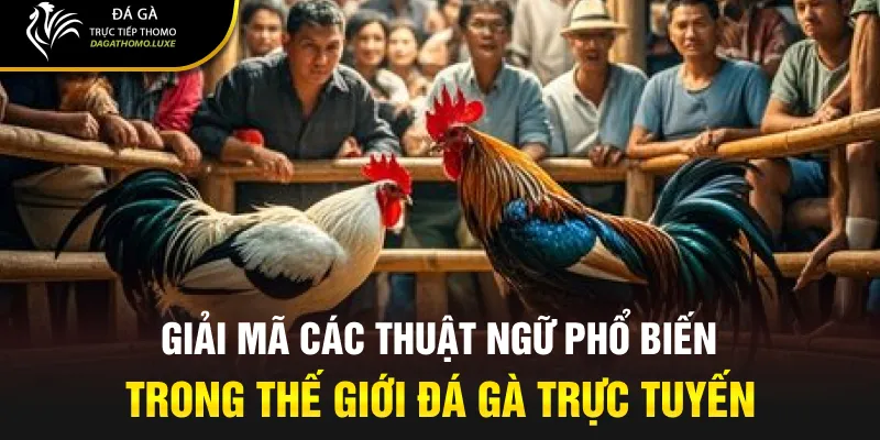 Giải mã các thuật ngữ phổ biến trong thế giới đá gà trực tuyến