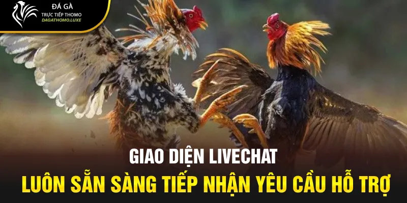 Giao diện Livechat luôn sẵn sàng tiếp nhận yêu cầu hỗ trợ