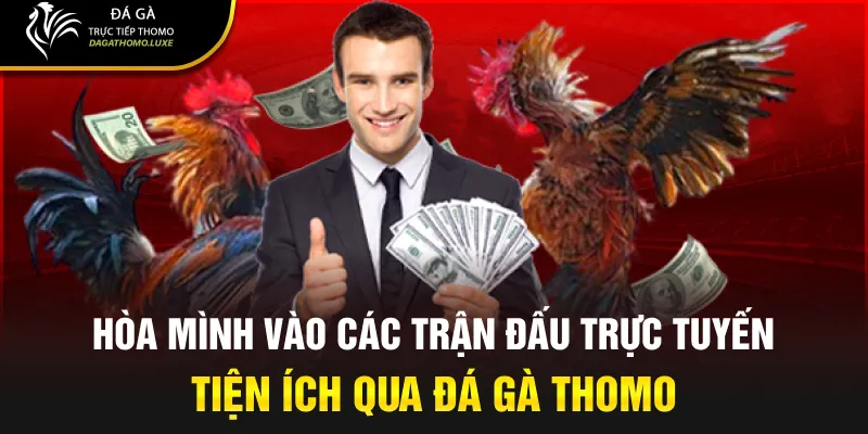 Hòa mình vào các trận đấu trực tuyến tiện ích qua Đá Gà Thomo