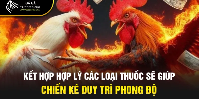Kết hợp hợp lý các loại thuốc sẽ giúp chiến kê duy trì phong độ