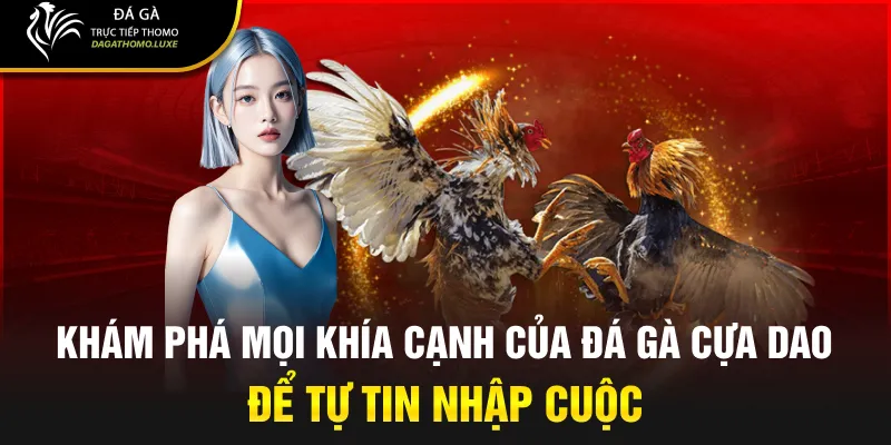 Khám phá mọi khía cạnh của đá gà cựa dao để tự tin nhập cuộc