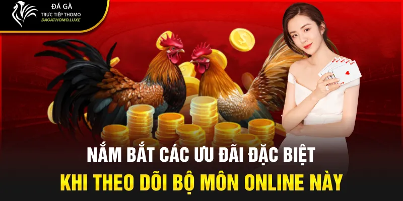 Nắm bắt các ưu đãi đặc biệt khi theo dõi bộ môn online này
