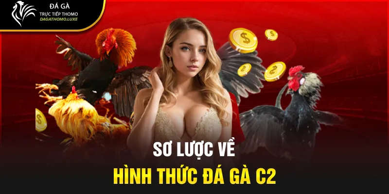 Sơ lược về hình thức đá gà C2