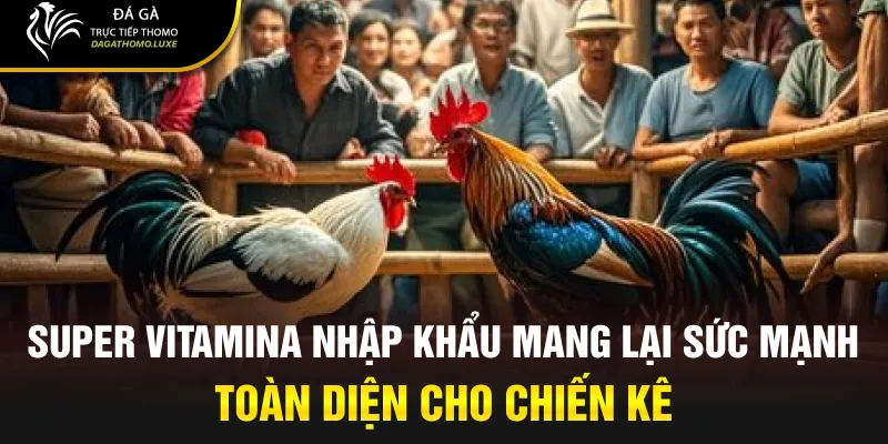 Super Vitamina nhập khẩu mang lại sức mạnh toàn diện cho chiến kê