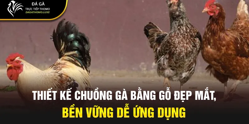 Thiết kế chuồng gà bằng gỗ đẹp mắt, bền vững dễ ứng dụng