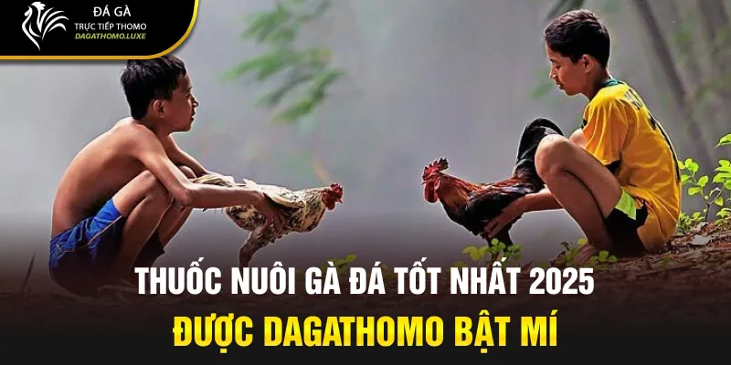 thuốc nuôi gà đá