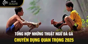 thuật ngữ đá gà