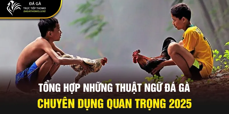 thuật ngữ đá gà