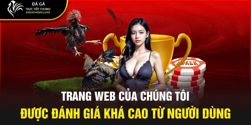 Trang web của chúng tôi được đánh giá khá cao từ người dùng