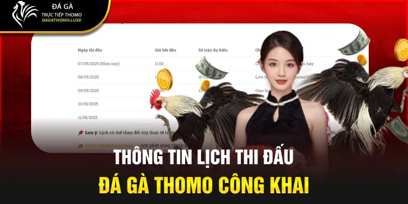 Thông tin lịch thi đấu đá gà Thomo công khai